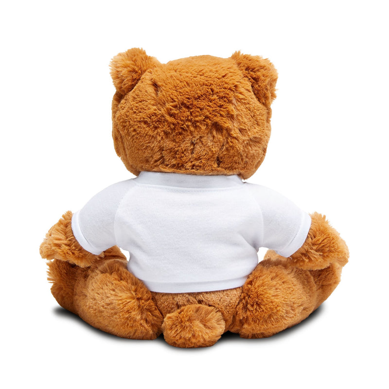 Personalized Plush Teddy Bear with T-Shirt - Custom Message Gift for Kids & Loved Ones