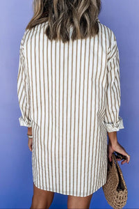 Striped Long Sleeve Mini Shirt Dress